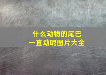 什么动物的尾巴一直动呢图片大全