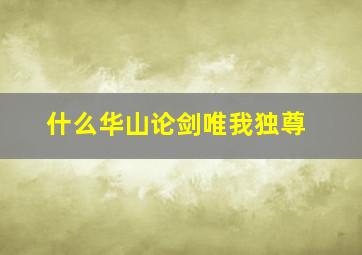 什么华山论剑唯我独尊