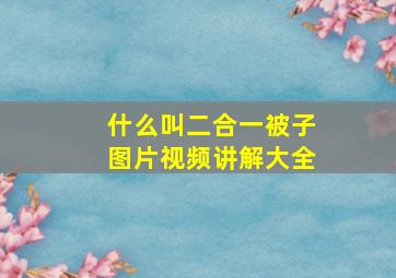 什么叫二合一被子图片视频讲解大全