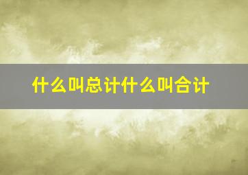 什么叫总计什么叫合计