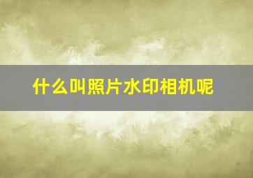 什么叫照片水印相机呢