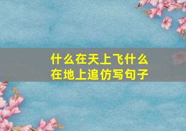 什么在天上飞什么在地上追仿写句子