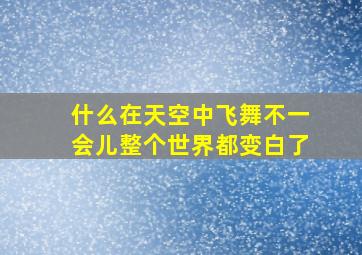 什么在天空中飞舞不一会儿整个世界都变白了