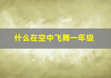 什么在空中飞舞一年级