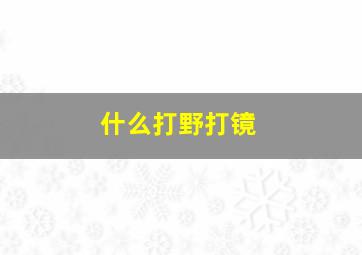 什么打野打镜