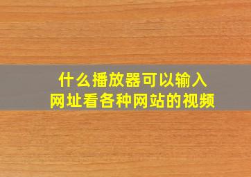 什么播放器可以输入网址看各种网站的视频