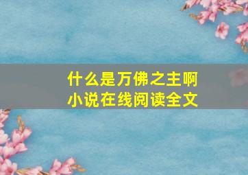 什么是万佛之主啊小说在线阅读全文