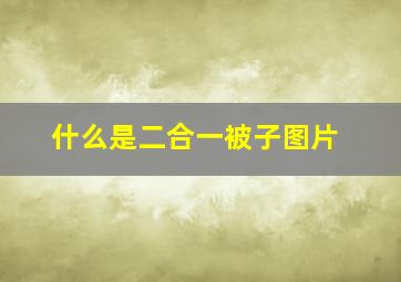 什么是二合一被子图片