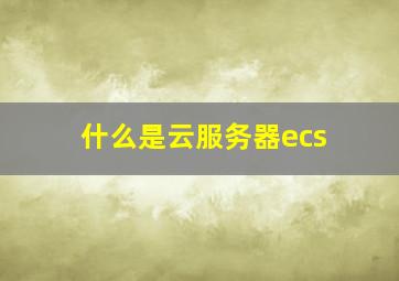 什么是云服务器ecs