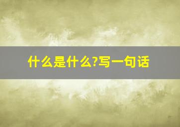 什么是什么?写一句话