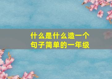 什么是什么造一个句子简单的一年级