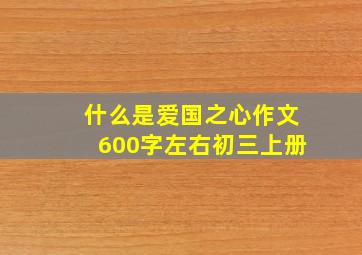 什么是爱国之心作文600字左右初三上册