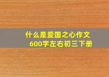 什么是爱国之心作文600字左右初三下册