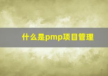 什么是pmp项目管理