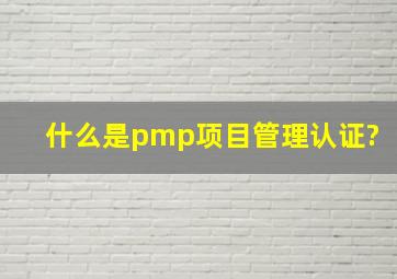 什么是pmp项目管理认证?