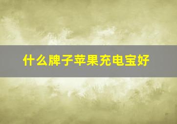 什么牌子苹果充电宝好