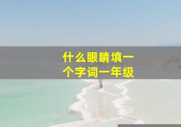 什么眼睛填一个字词一年级