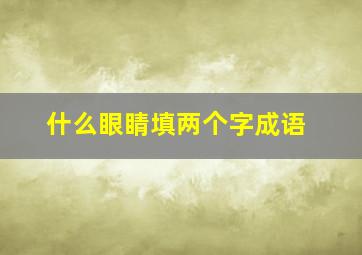 什么眼睛填两个字成语