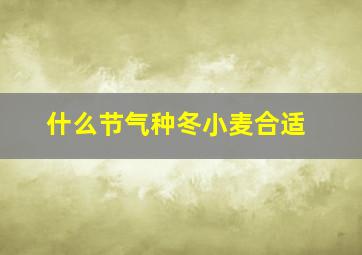 什么节气种冬小麦合适