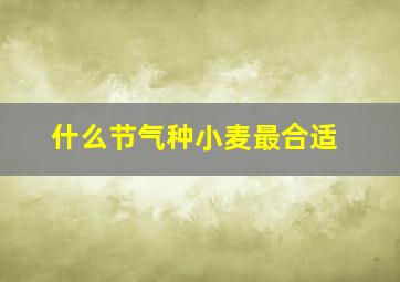 什么节气种小麦最合适