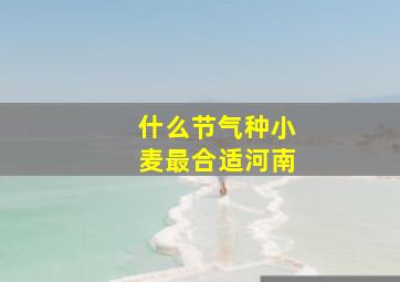 什么节气种小麦最合适河南