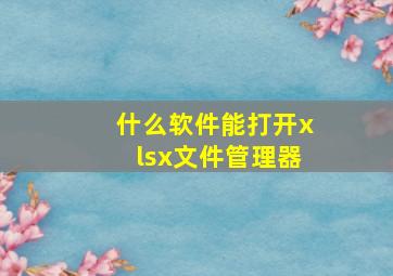 什么软件能打开xlsx文件管理器