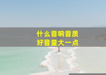 什么音响音质好音量大一点