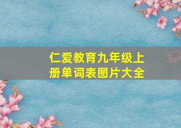 仁爱教育九年级上册单词表图片大全