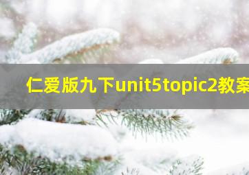 仁爱版九下unit5topic2教案