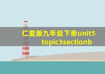 仁爱版九年级下册unit5topic3sectionb