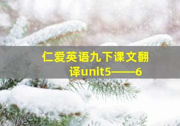 仁爱英语九下课文翻译unit5――6