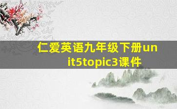 仁爱英语九年级下册unit5topic3课件