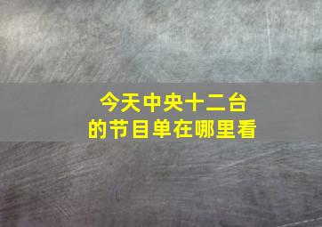 今天中央十二台的节目单在哪里看