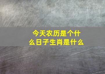 今天农历是个什么日子生肖是什么