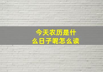 今天农历是什么日子呢怎么读