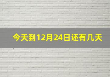 今天到12月24日还有几天