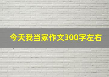 今天我当家作文300字左右