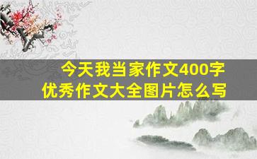 今天我当家作文400字优秀作文大全图片怎么写