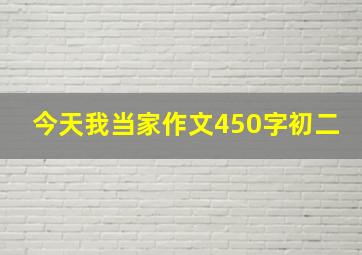 今天我当家作文450字初二