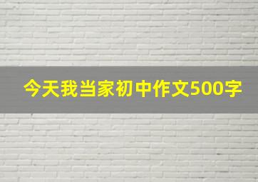 今天我当家初中作文500字