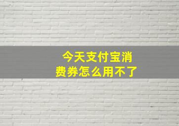 今天支付宝消费券怎么用不了