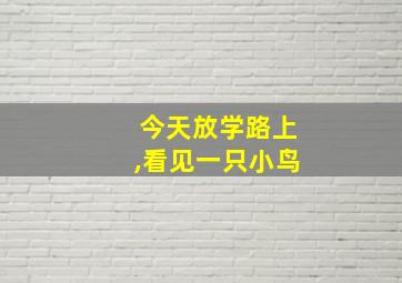 今天放学路上,看见一只小鸟