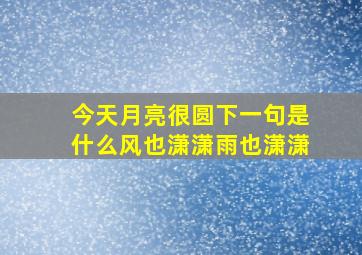 今天月亮很圆下一句是什么风也潇潇雨也潇潇