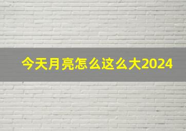 今天月亮怎么这么大2024