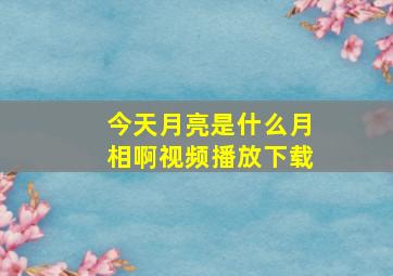 今天月亮是什么月相啊视频播放下载