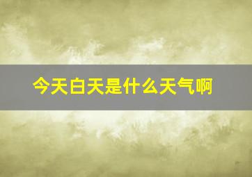 今天白天是什么天气啊