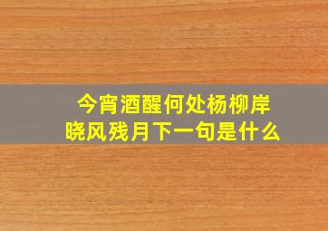 今宵酒醒何处杨柳岸晓风残月下一句是什么