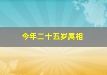 今年二十五岁属相