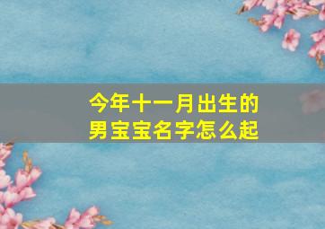 今年十一月出生的男宝宝名字怎么起