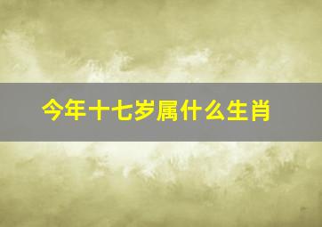 今年十七岁属什么生肖